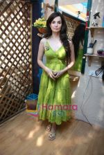 Rukhsar at the Launch of Ayesha Jhulka_s second branch Anantaa spa saloon in Andheri on 25th April 2010 (8).JPG